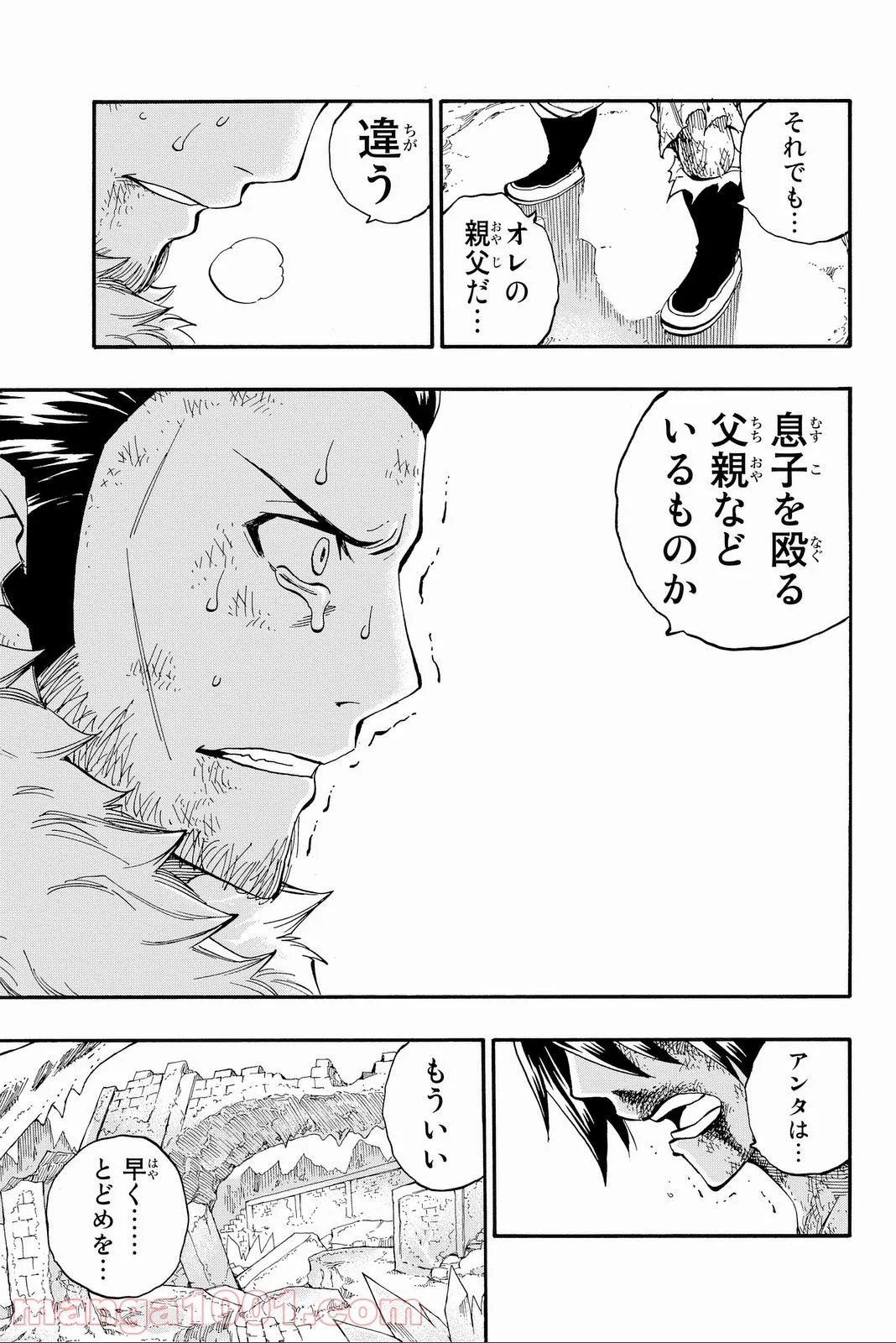 フェアリーテイル 第393話 - Page 11