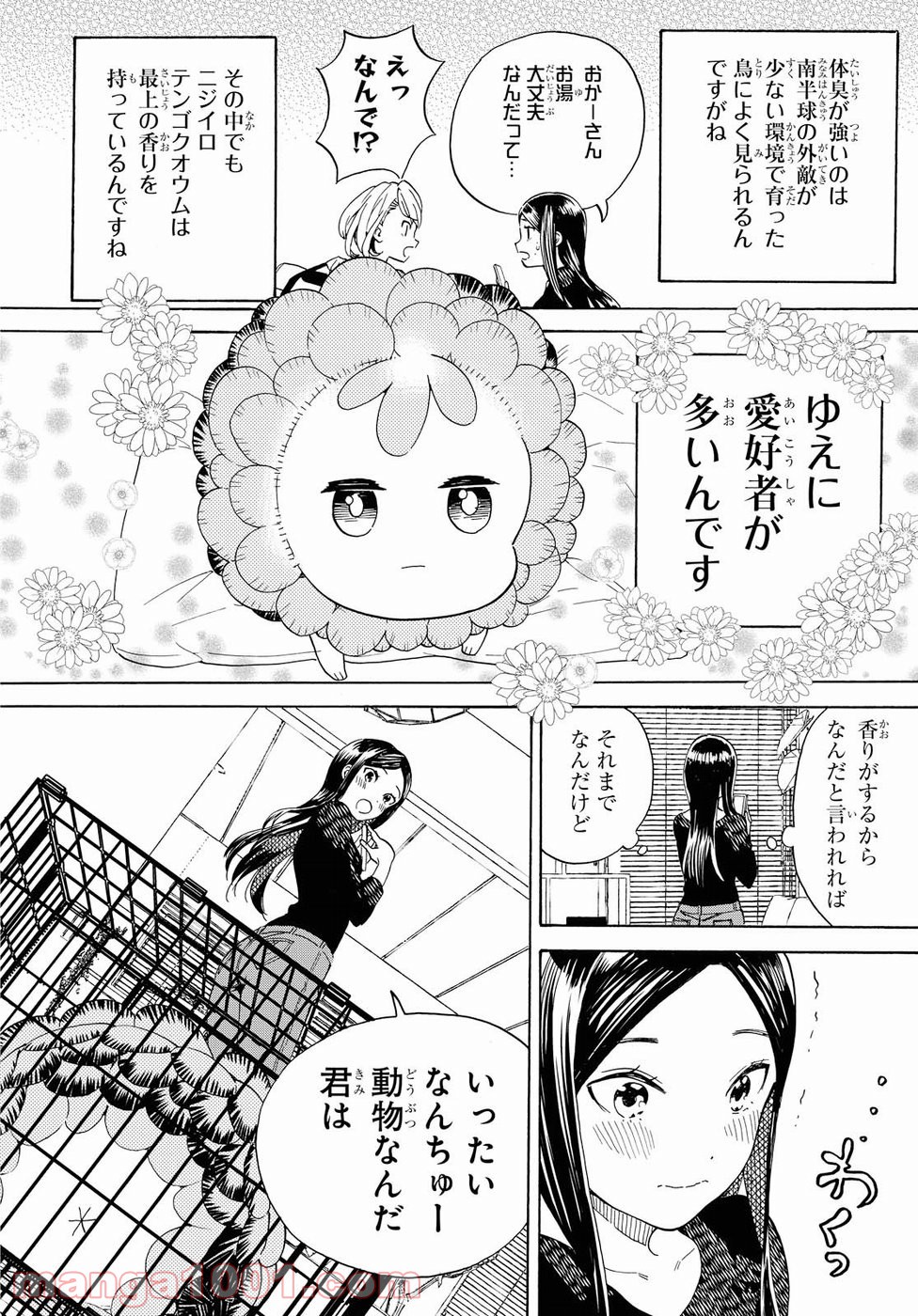 ニジとクロ - 第2話 - Page 18