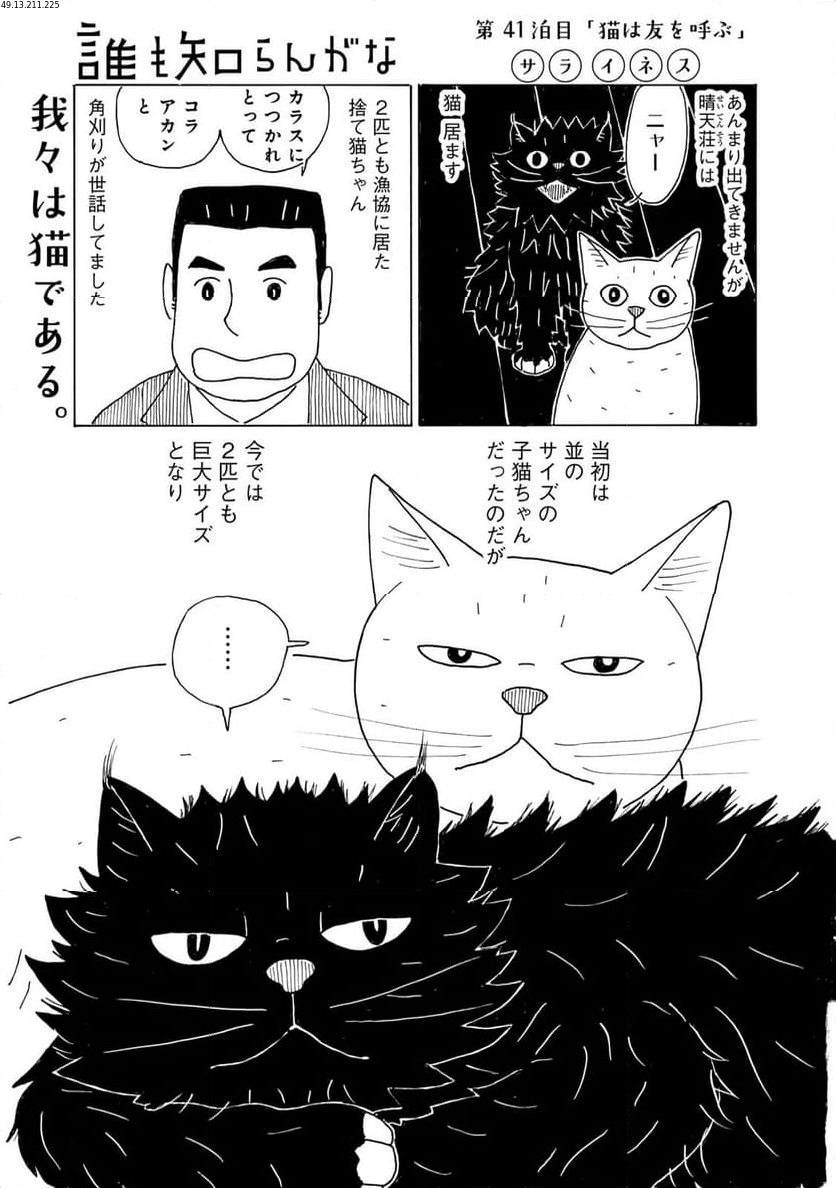 誰も知らんがな 第41話 - Page 1