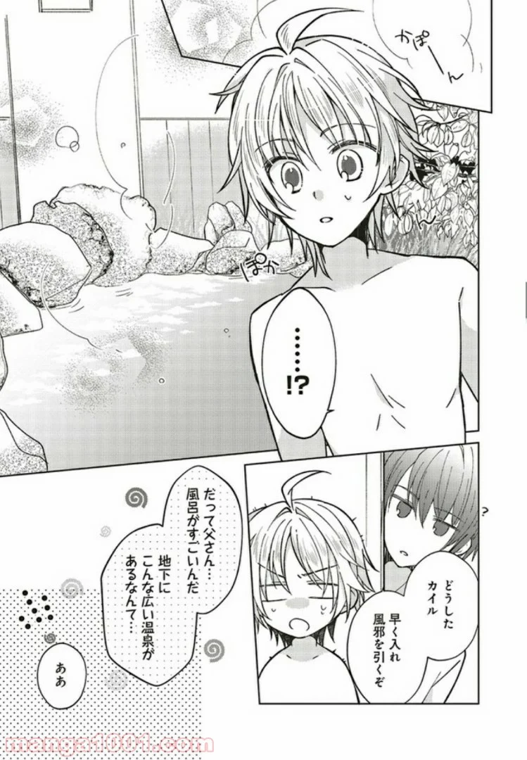 妖精印の薬屋さん 第5.1話 - Page 5