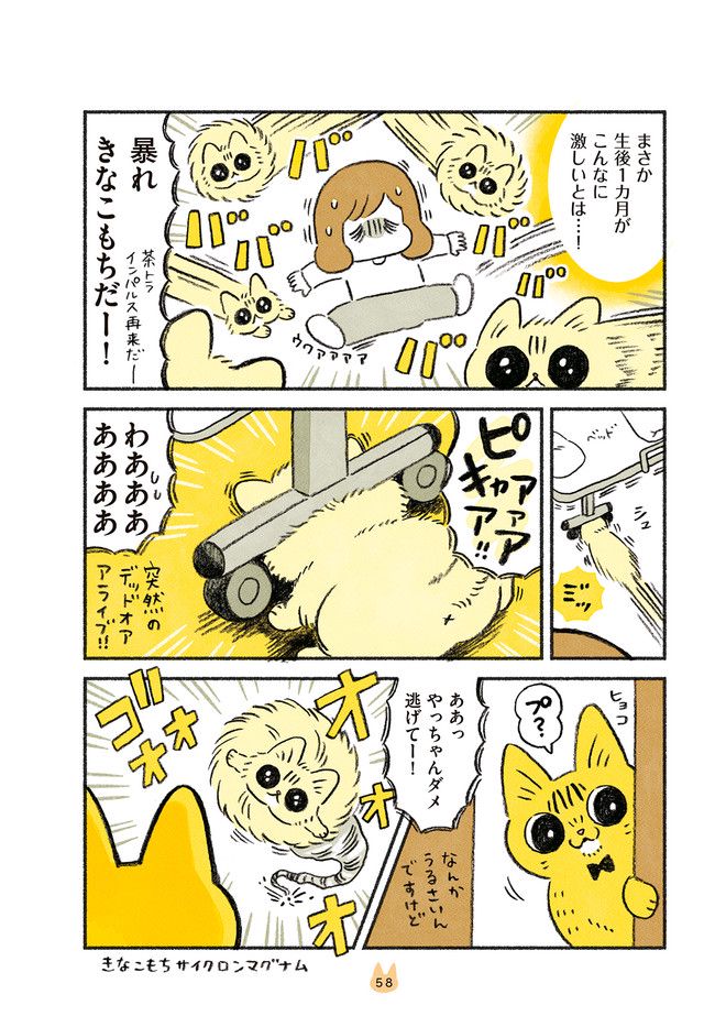 茶トラのやっちゃん 第23話 - Page 2