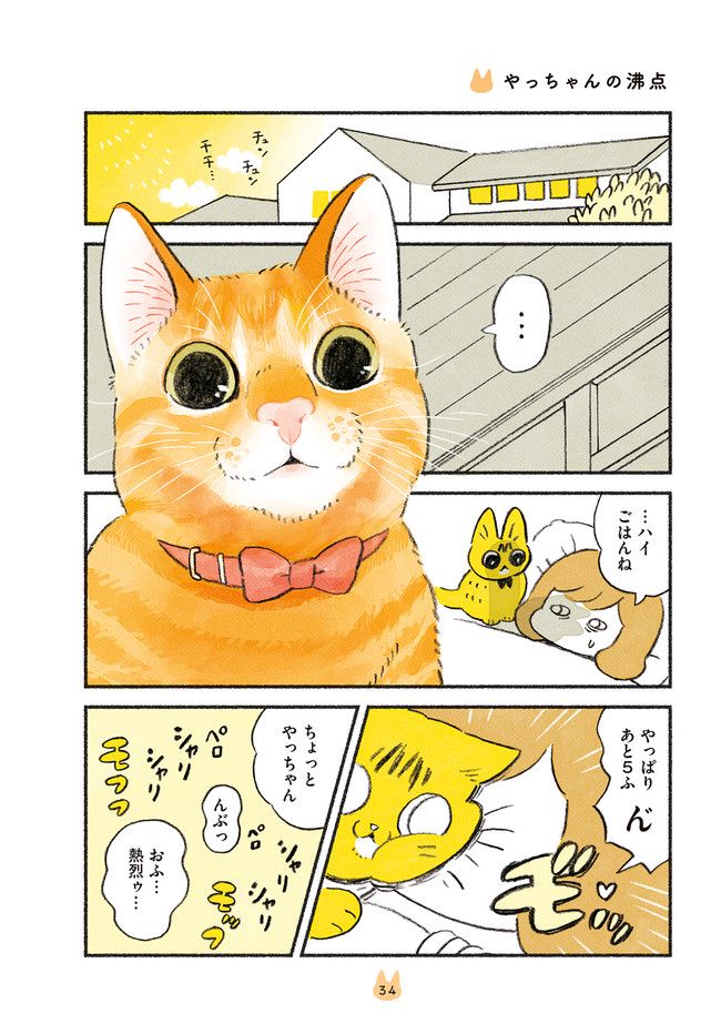 茶トラのやっちゃん 第20話 - Page 1