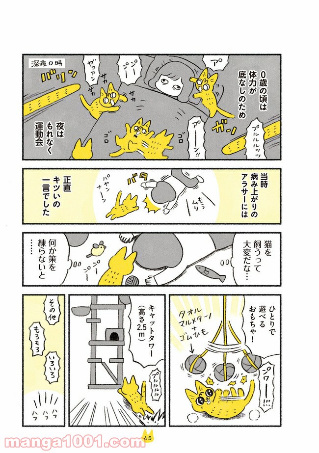 茶トラのやっちゃん 第6話 - Page 2