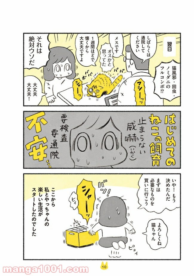 茶トラのやっちゃん 第1話 - Page 3