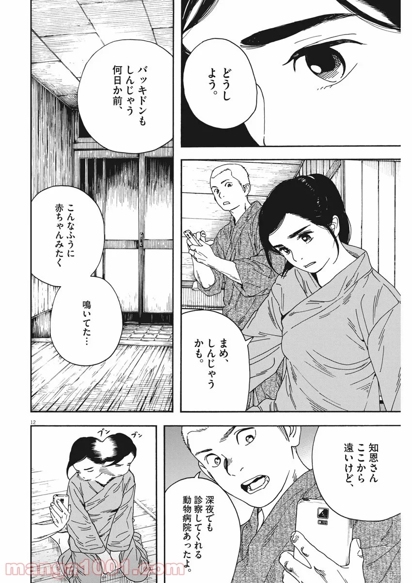 猫のお寺の知恩さん 第75話 - Page 12