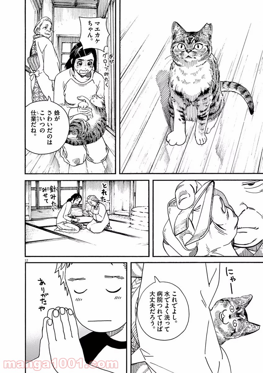 猫のお寺の知恩さん 第9話 - Page 12