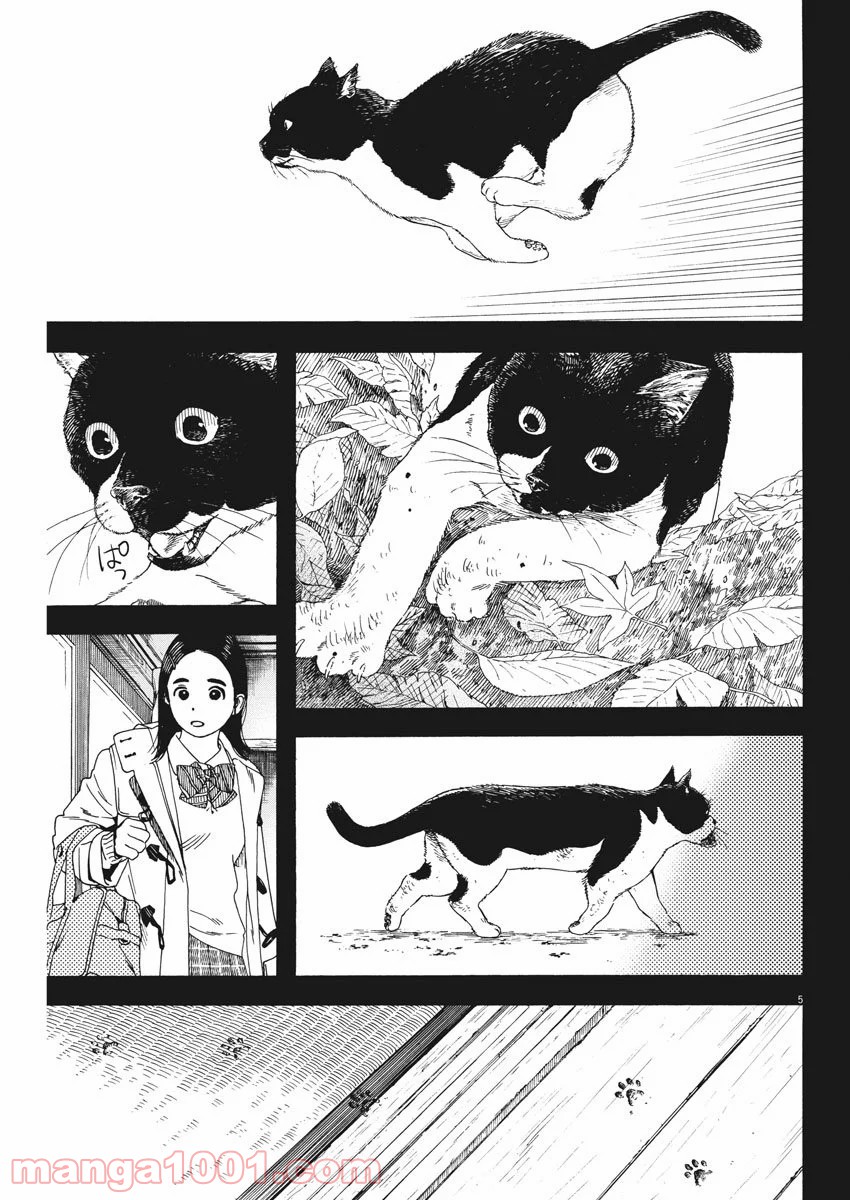 猫のお寺の知恩さん 第68話 - Page 5