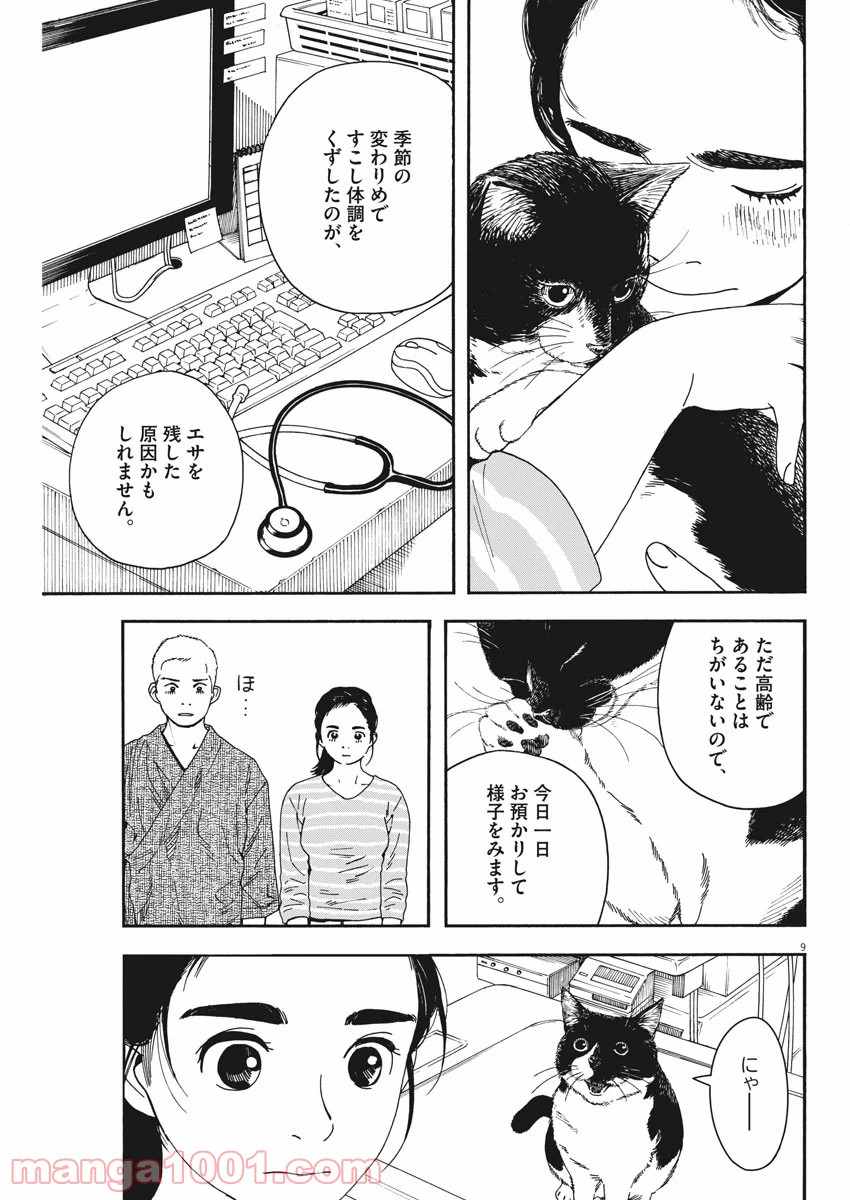 猫のお寺の知恩さん 第76話 - Page 9