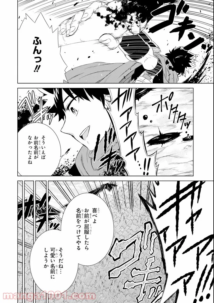 世界でただ一人の魔物使い ～転職したら魔王に間違われました～ 第5話 - Page 26