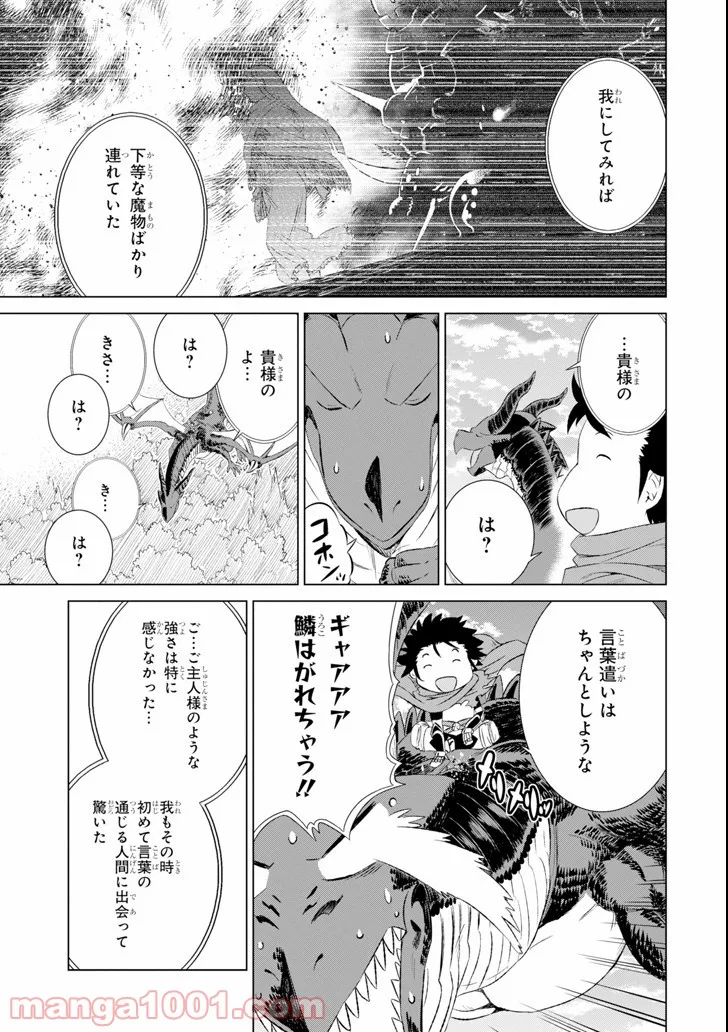 世界でただ一人の魔物使い ～転職したら魔王に間違われました～ 第5話 - Page 29