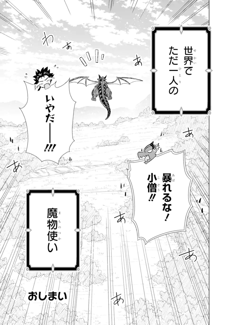 世界でただ一人の魔物使い ～転職したら魔王に間違われました～ - 第56.3話 - Page 11