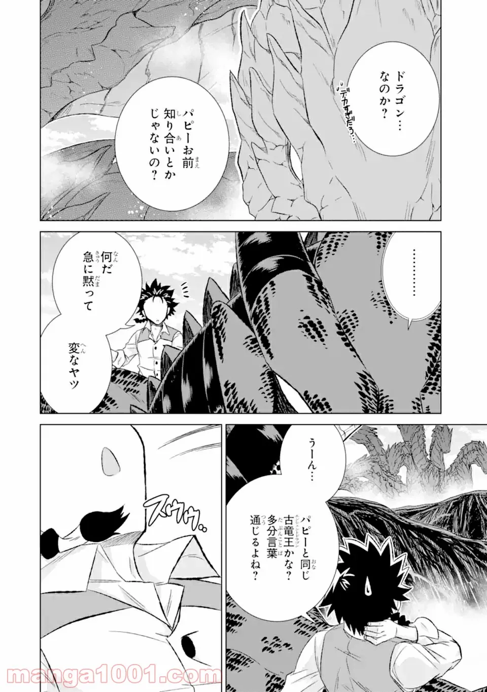 世界でただ一人の魔物使い ～転職したら魔王に間違われました～ 第33.3話 - Page 9