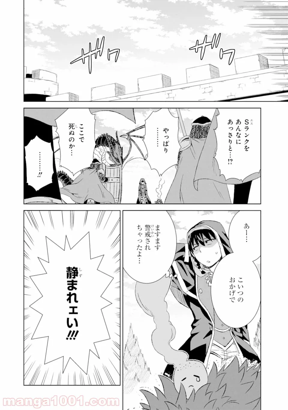 世界でただ一人の魔物使い ～転職したら魔王に間違われました～ 第14話 - Page 12