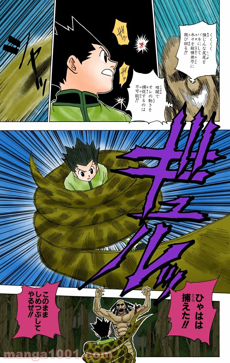 HUNTER X HUNTER 第231話 - Page 11