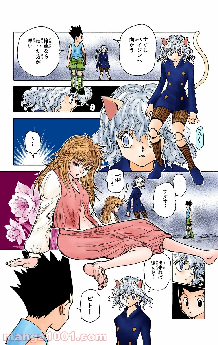 HUNTER X HUNTER 第300話 - Page 12