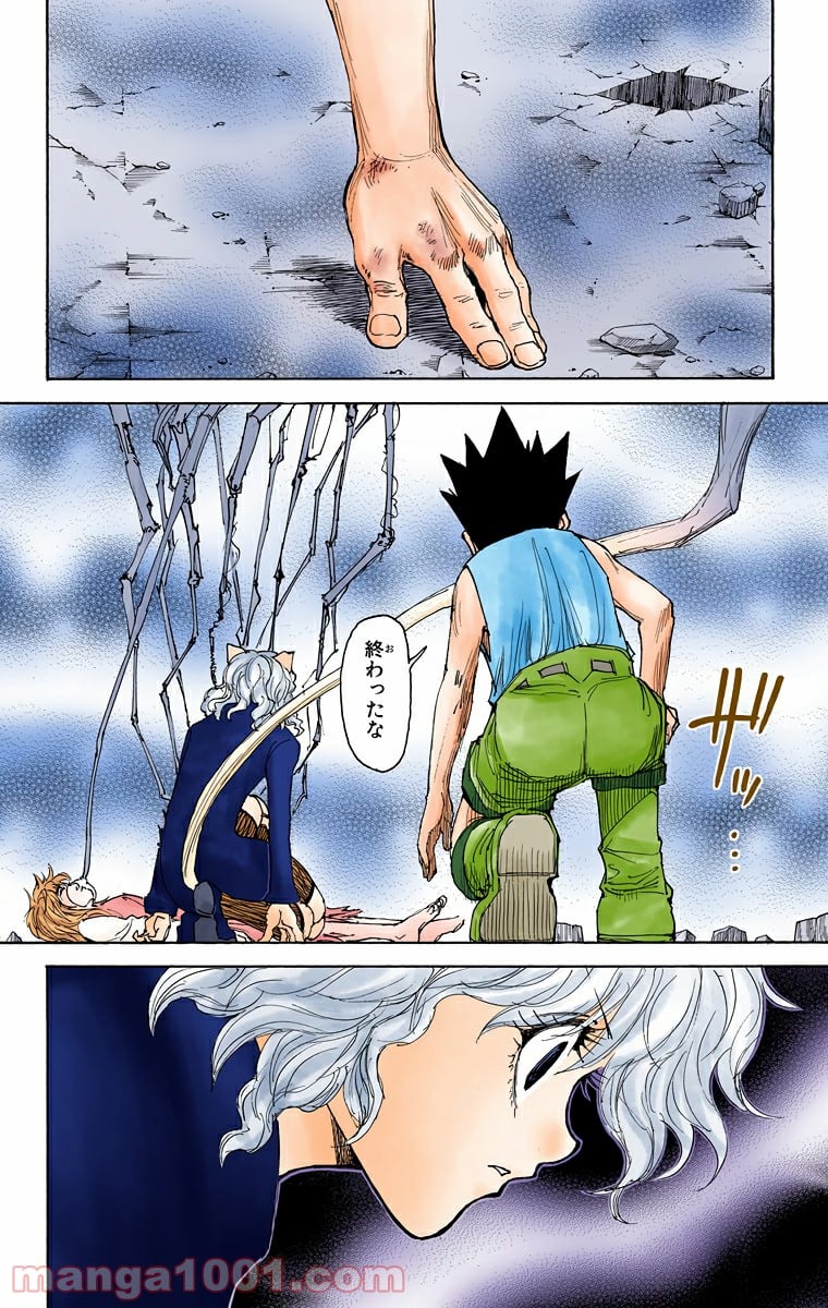 HUNTER X HUNTER 第300話 - Page 8