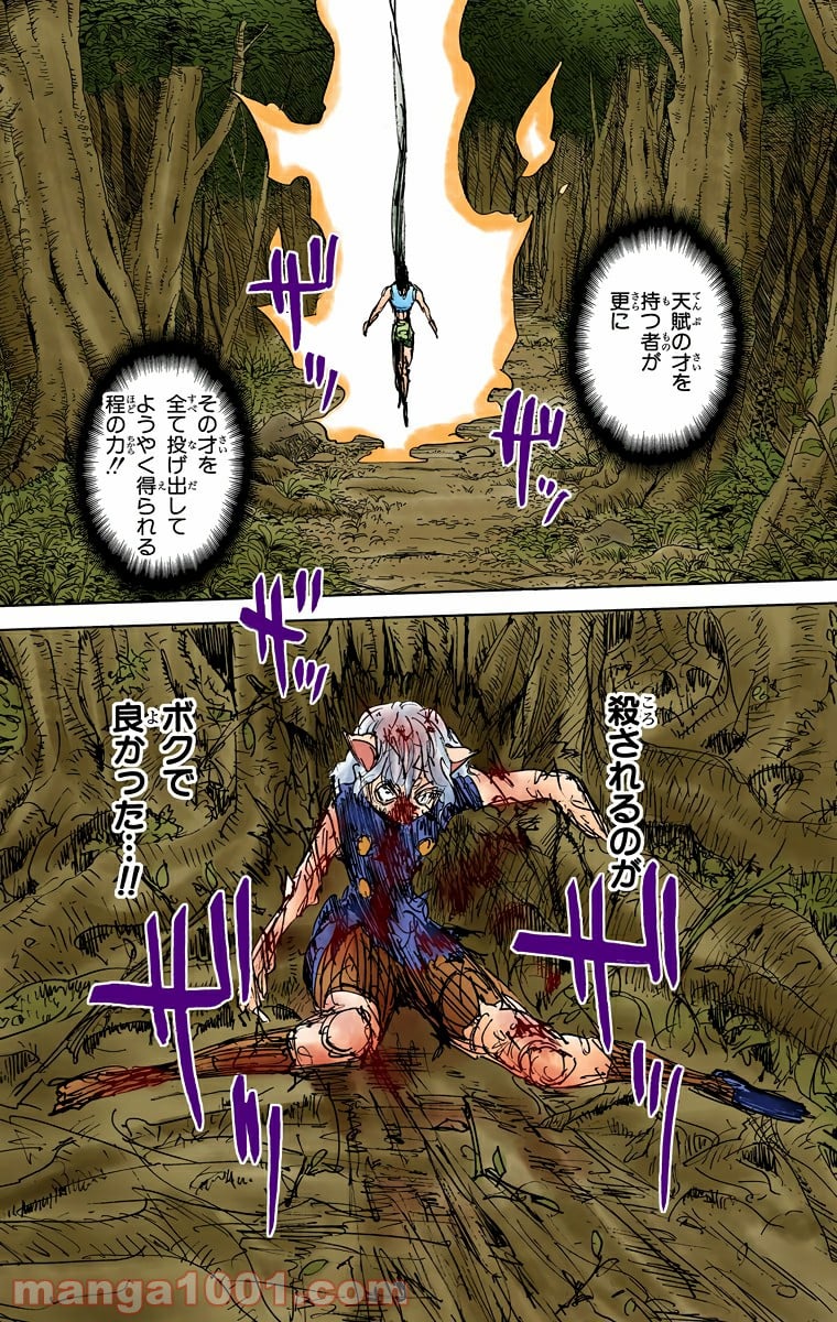 HUNTER X HUNTER 第306話 - Page 19