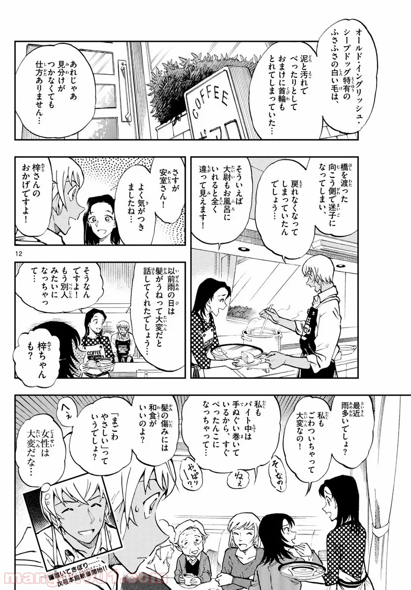 MEITANTEI CONAN 第1050.3話 - Page 12