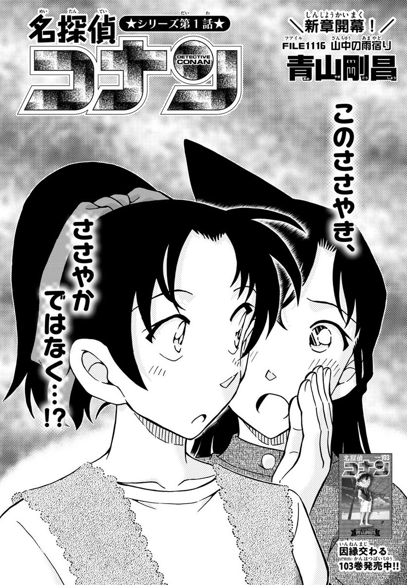 MEITANTEI CONAN 第1116話 - Page 1