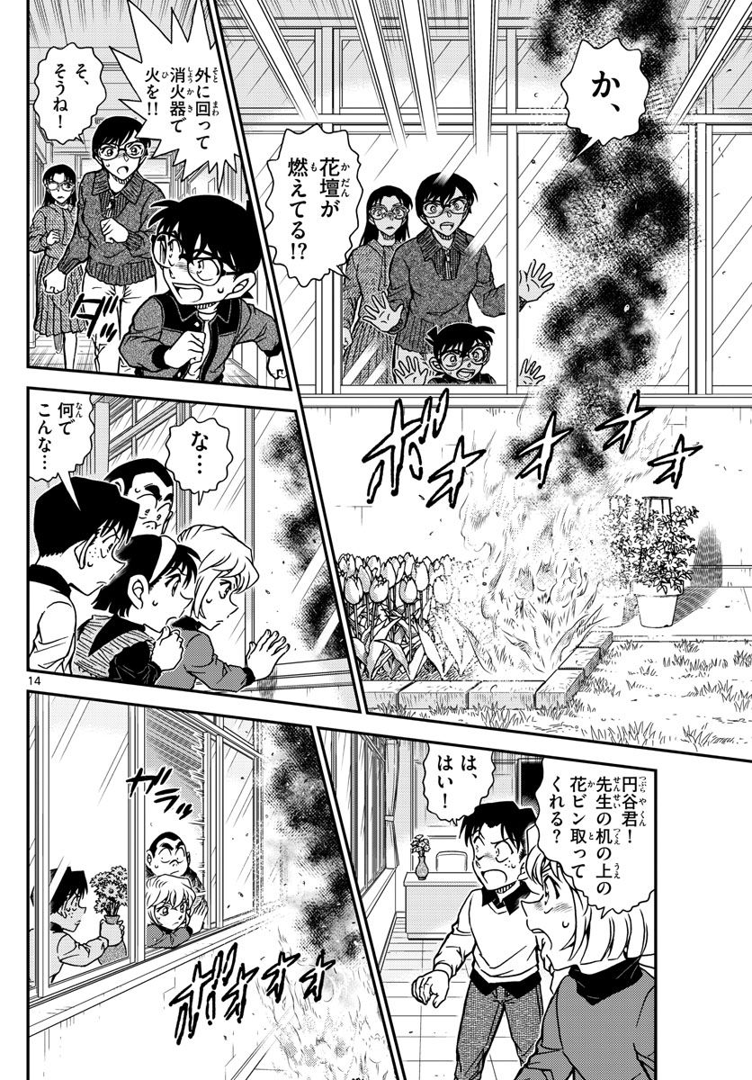 MEITANTEI CONAN 第1110話 - Page 14