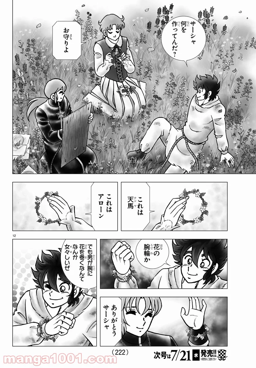 聖闘士星矢 NEXT DIMENSION 冥王神話 第102話 - Page 12