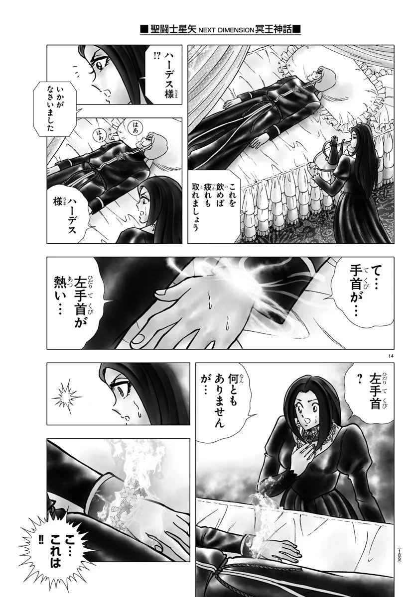 聖闘士星矢 NEXT DIMENSION 冥王神話 第105話 - Page 14