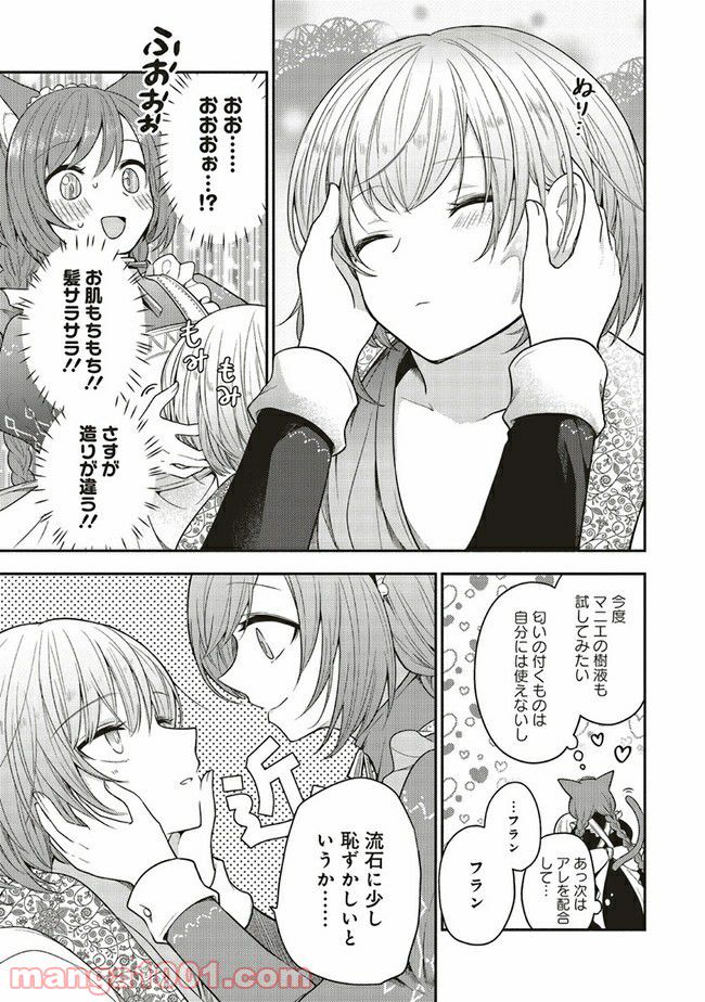 猫耳メイドと少年王子　暗殺ターゲットの王子様に恋をしました 第2.1話 - Page 11