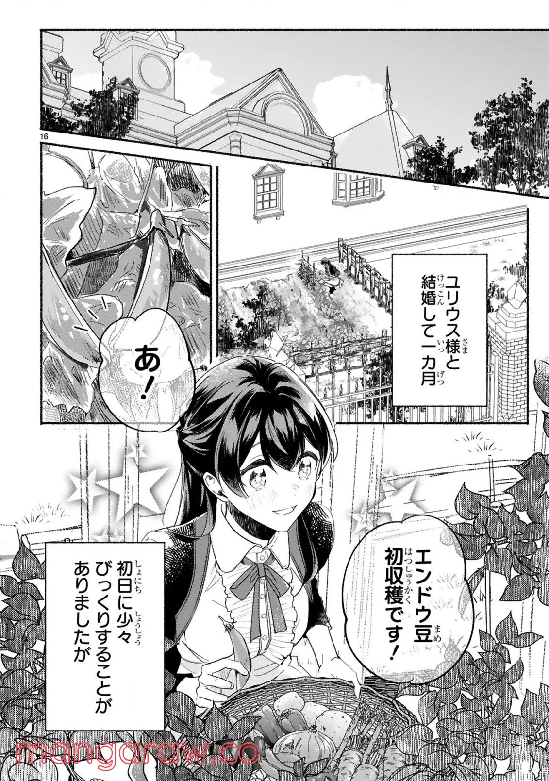 「きみを愛する気はない」と言った次期公爵様がなぜか溺愛してきます - 第2話 - Page 17