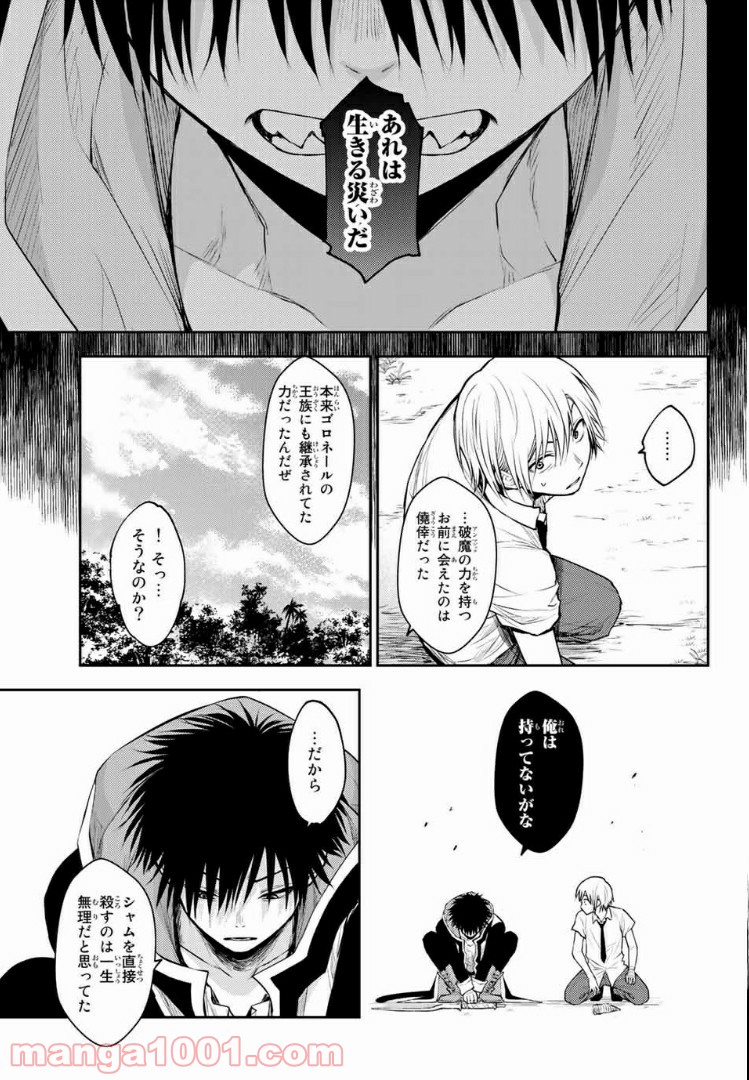 二ノ国 ～光の後継者と猫の王子～ 第3話 - Page 25