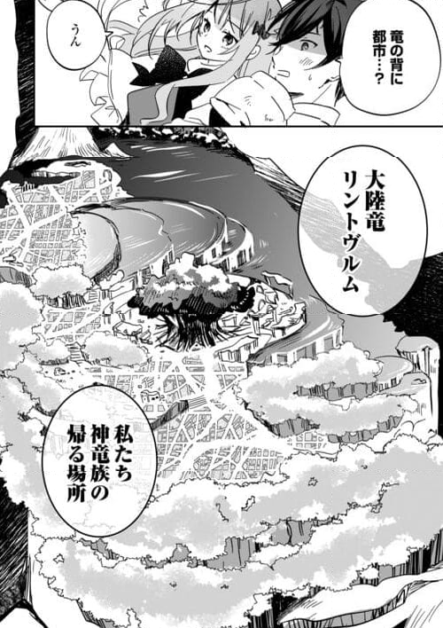 トカゲ（本当は神竜）を召喚した聖獣使い、竜の背中で開拓ライフ 第1.2話 - Page 20