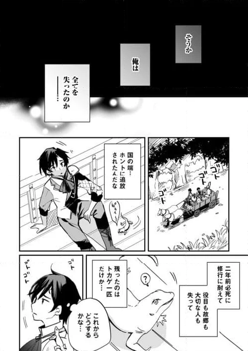 トカゲ（本当は神竜）を召喚した聖獣使い、竜の背中で開拓ライフ 第1話 - Page 32