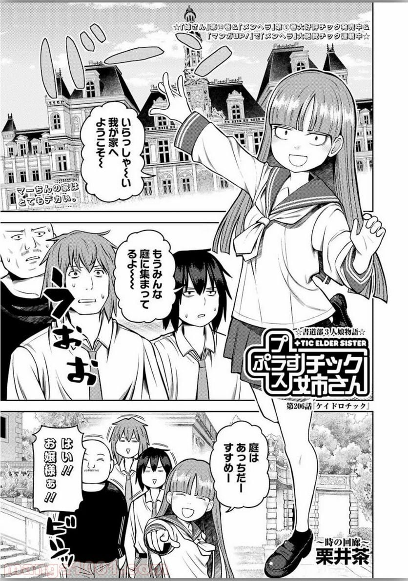 プラスチック姉さん 第206話 - Page 2