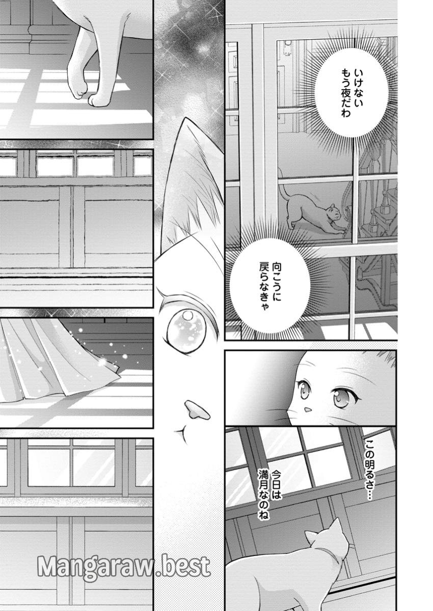 呪いで猫にされた悪女、王太子に拾われる。 第7.2話 - Page 10