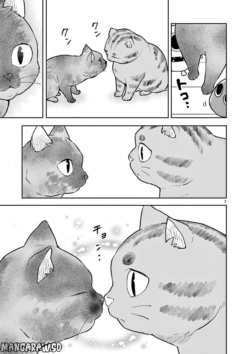 勇者のひざには猫がいる 第36話 - Page 7