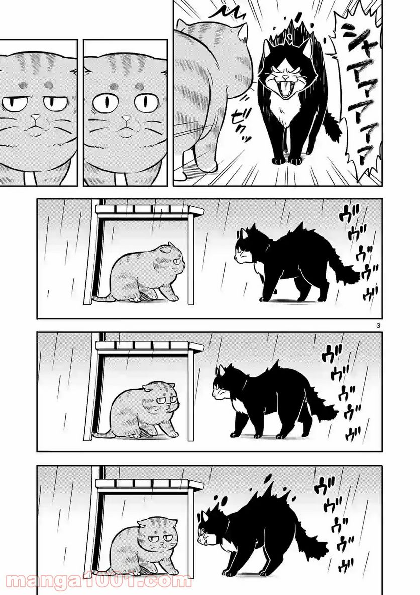 勇者のひざには猫がいる 第6話 - Page 3