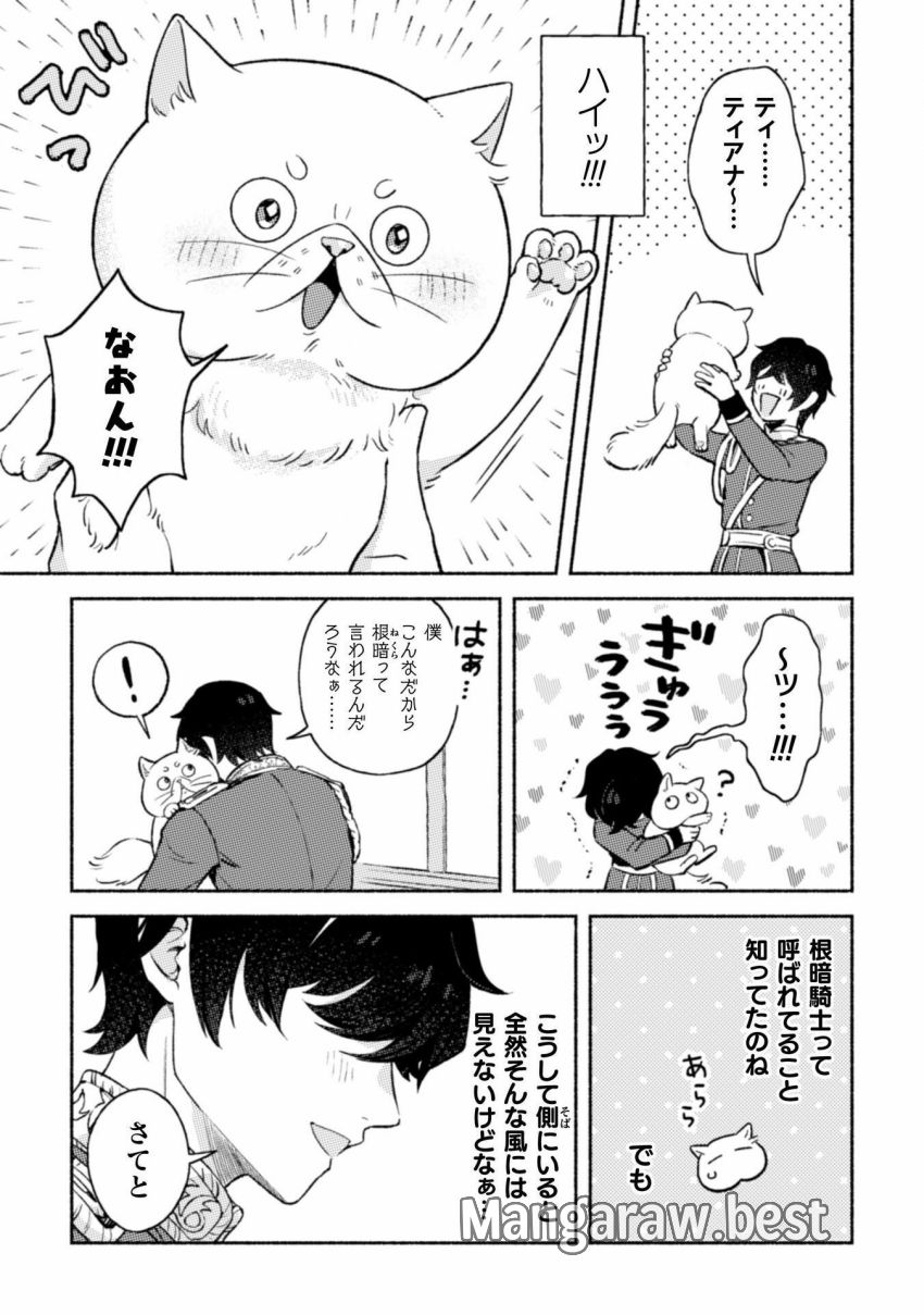 根暗騎士による溺愛満喫中のブサ猫、実は聖女です! - 第3話 - Page 10