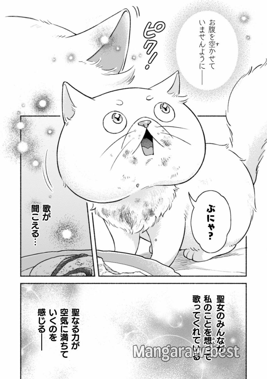 根暗騎士による溺愛満喫中のブサ猫、実は聖女です! - 第3話 - Page 6