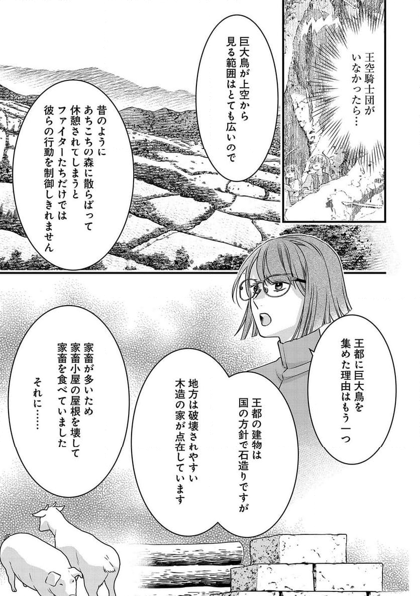 空騎士団と救国の少女～空を飛ぶ少女アイリスの物語～ 第3話 - Page 19