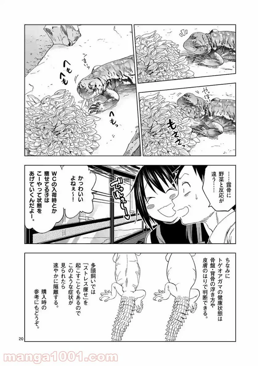 秘密のレプタイルズ - 第98話 - Page 20