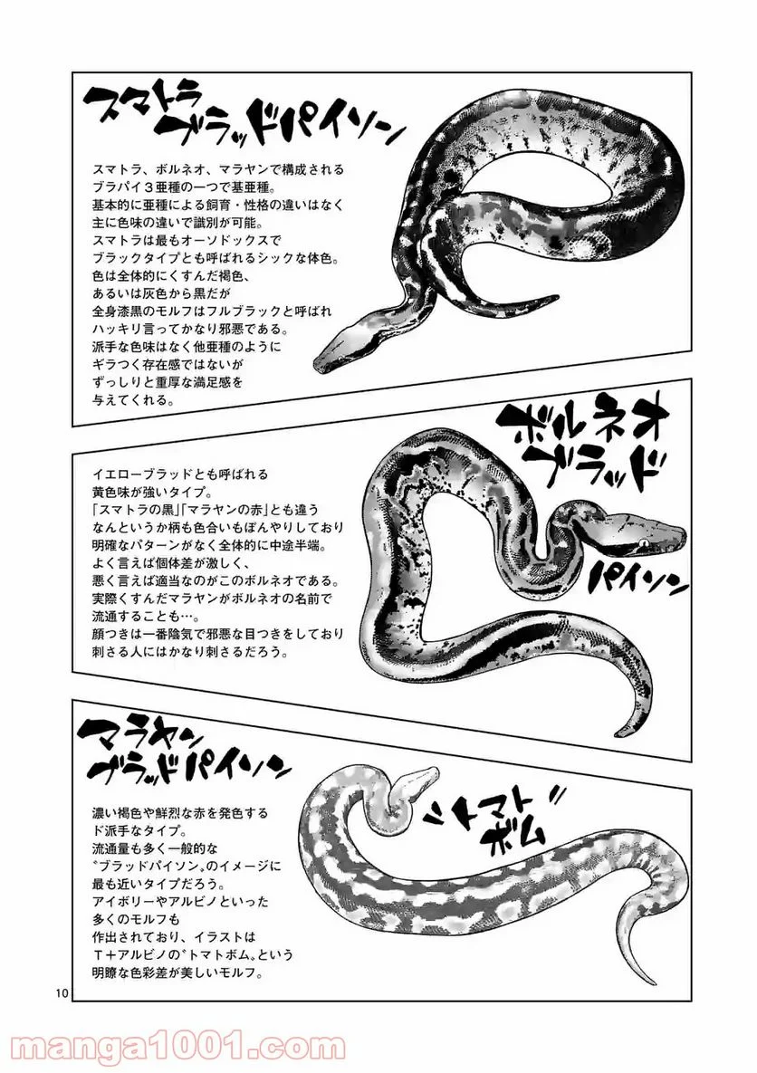 秘密のレプタイルズ 第112話 - Page 10