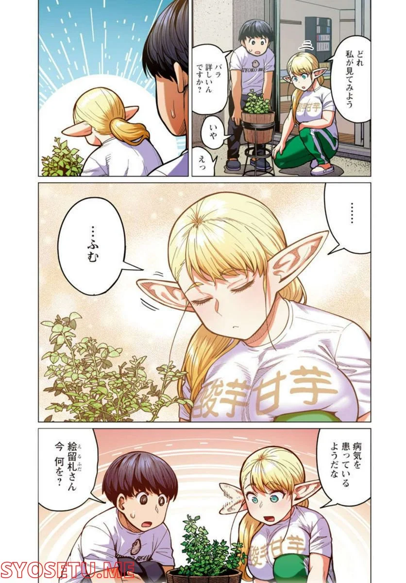 新・エルフさんは痩せられない。 第28話 - Page 3