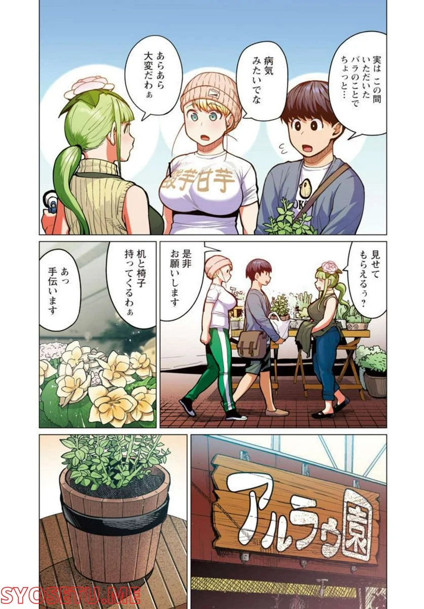 新・エルフさんは痩せられない。 第28話 - Page 6