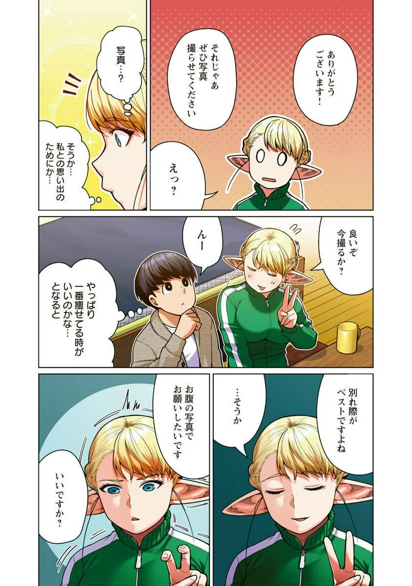 新・エルフさんは痩せられない。 第46話 - Page 17