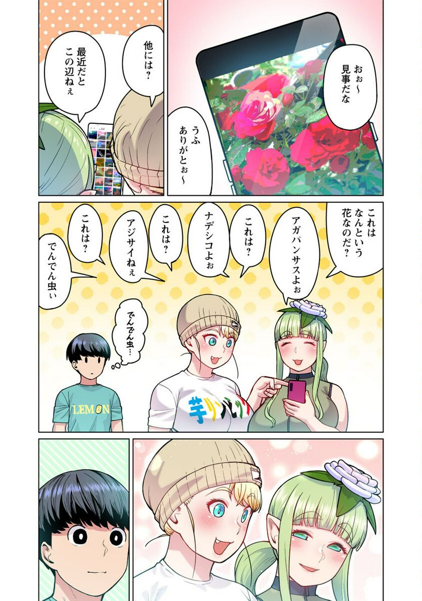 新・エルフさんは痩せられない。 第47.6話 - Page 15