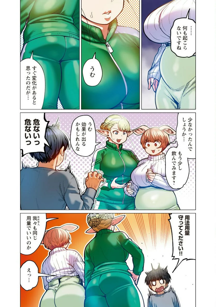 新・エルフさんは痩せられない。 第34話 - Page 11