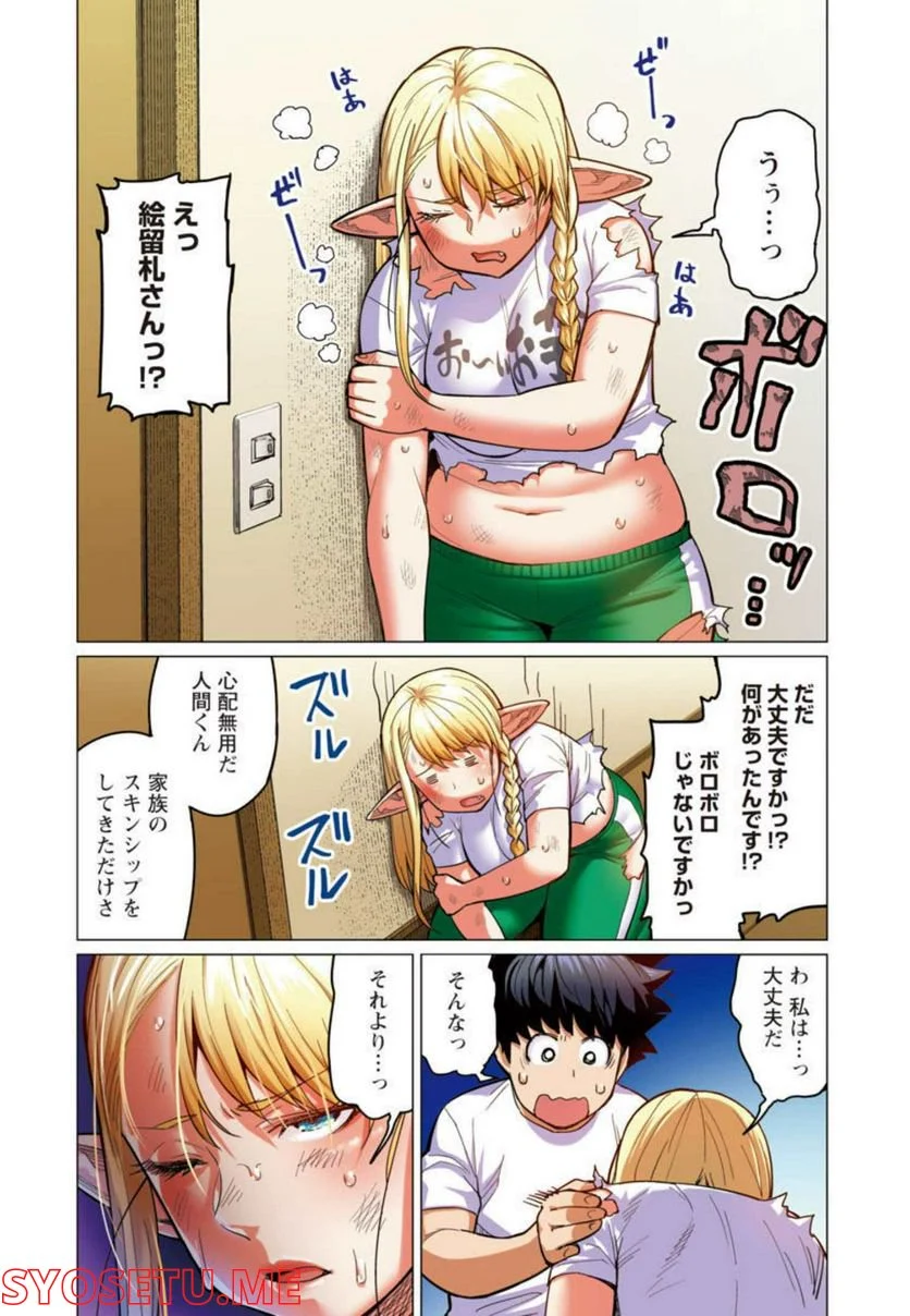 新・エルフさんは痩せられない。 第19話 - Page 15