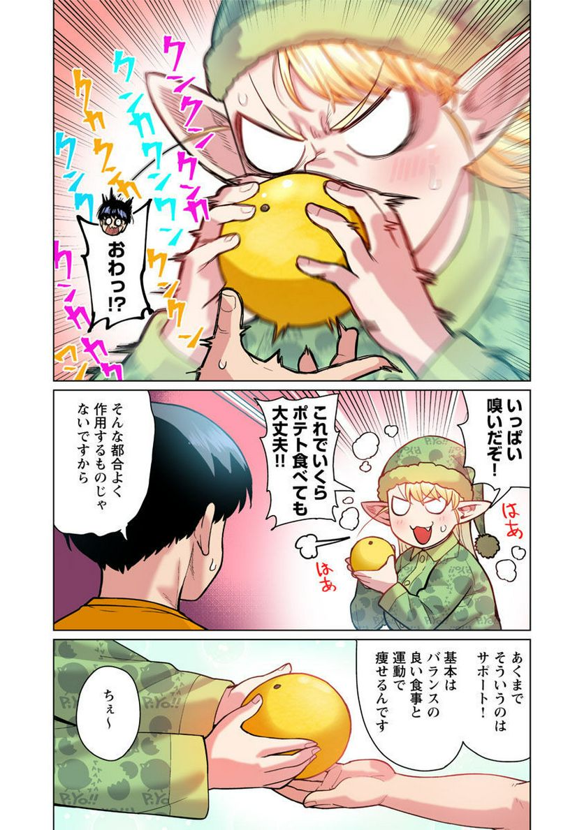 新・エルフさんは痩せられない。 第47.5話 - Page 17