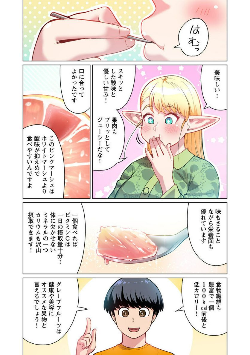 新・エルフさんは痩せられない。 第47.5話 - Page 19