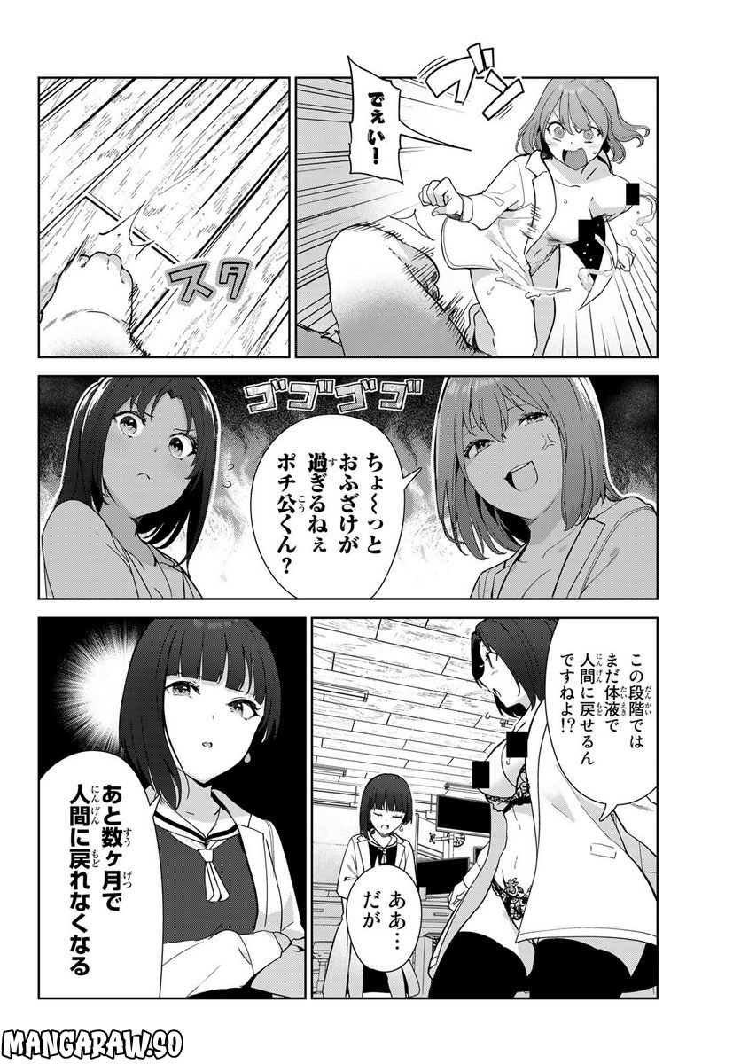 犬になったら好きな人に拾われた。 第51話 - Page 8