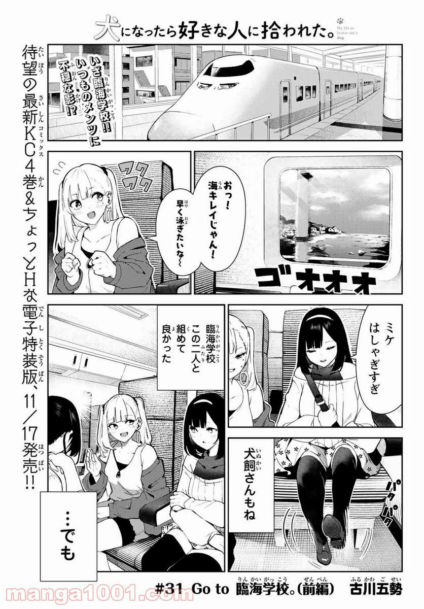 犬になったら好きな人に拾われた。 第31話 - Page 1